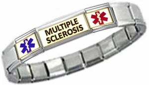 MS MULTIPLE SCLEROSIS ID 9mm + Italian Charm SILVER TONE SHINY Starter Bracelet - Picture 1 of 3