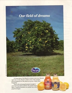 Ocean Spray Grapefruit Juice Our Field of Dreams 1991 Vintage Print Ad - Imagen 1 de 1
