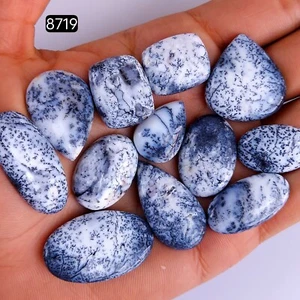 12Pc 216Cts Natural Dendrite Agate cabochon Gemstone Lot 32x15 22x15mm #R-8719 - Picture 1 of 4