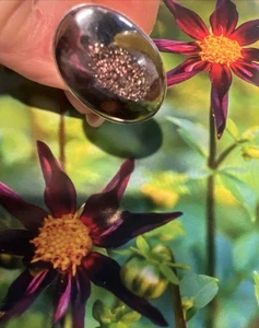 Lovely Amy Kahn Russell Smoky Gray Druzy & Sterling Ring Size 7 - Picture 1 of 10