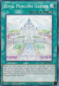 Yugioh! Royal Penguins Garden - BODE-EN063 - Common - 1st Edition Near Mint, Eng - Picture 1 of 6