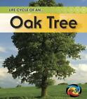 Oak Tree by Royston, Angela