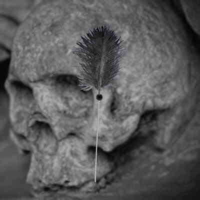 **VOODOO NADEL FÜR PUPPENRITUALE - SCHWARZ MIT FEDER** - Bild 1 von 4