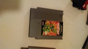 Authentic Teenage Mutant Ninja Turtles 2: The Acrade Game Nes 
