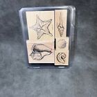Stampin Up SEASIDE 5 Pc Rubber Stamp Set SEASHELLS COUNCH SCALLOP STAR FISH Wood