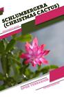 Schlumbergera (Christmas Cactus): Open Terrarium, Beginner's Guide By Tetiana Sa