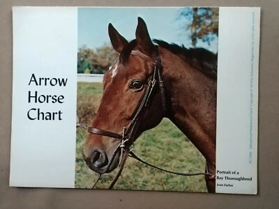 Tabla de referencia educativa revista escolástica flecha caballo carta Foto 1 de 4