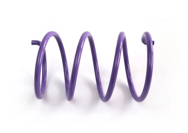 Resorte de embrague secundario EPI púrpura #YDS6 se adapta a Yamaha Foto 1 de 1