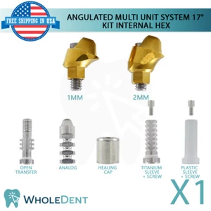 Winkeliges Abutment Multi-Einheiten-System 17° Kit Titan Zahnimplantat Int Sechskant - Bild 1 von 9