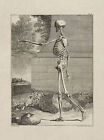 Bernhard Albinus : "Tableau III (Squelette Humain)" (1747) — Impression Beaux-Arts Giclée