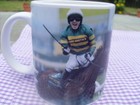Grand National Legends Don