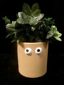 UO HOME KUNSTKERAMIK ÜBERTOPF - zylindrischer Topf mit Abflussloch - AUGENKUGELN - Bild 1 von 8