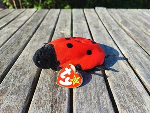 TY BEANIE BABIES LUCKY DER MARIENKÄFER 1993 - Bild 1 von 1