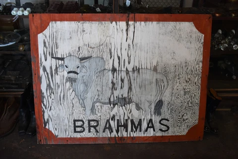 Large Hand Painted Brahma Farm Sign Bull Cow For Sale Vintage Sign Texas Cover