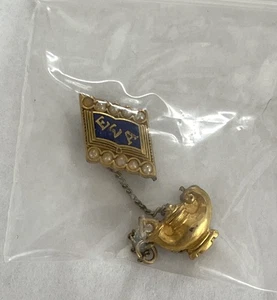 Vintage Balfour Epsilon Sigma Alpha Gold Filled Fraternal Pin w Lamp of Learning - Picture 1 of 2