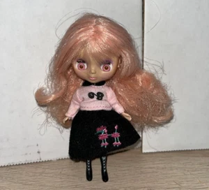 Tamiya Petit Blythe/Popup World/Pinky Doodle Poodle pink eyes ,with wear as is - Picture 1 of 4