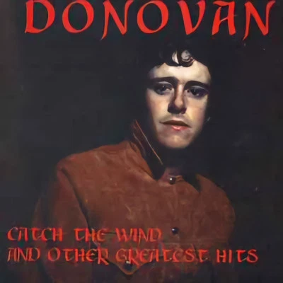 Donovan - Catch The Wind and Other Greatest Hits (2000) CD - Bild 1 von 2