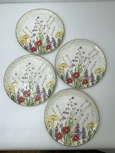 Pier 1 Imports Terracotta Giardino Botanico Piatto Floreale 11,25 Set di 4 - Foto 1 di 9
