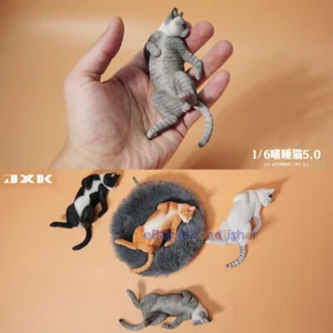 JXK 1/6 Gato Letárgico 5.0 Modelo Animal Decoración Animal Gato Sueño Figura Regalo GK Pintado - Imagen 1 de 24