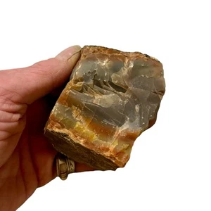 Arizona Rainbow Petrified Wood Specimen 206 Grams - Picture 1 of 8