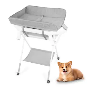 2 in 1 Dog Bathtub Dog Washing Station with Storage Rack Portable & Space-saving - Picture 1 of 25