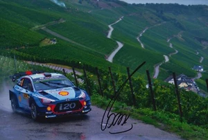 Thierry Neuville handsigniert 12x8 Foto Hyundai - Rallye. - Bild 1 von 1