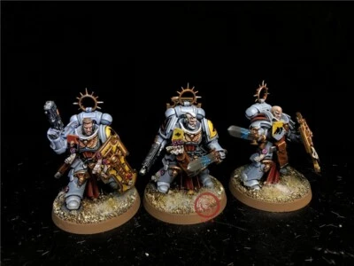 Warhammer 40K DPS painted Space Wolves Bladeguard Veterans SK4340 - Image 1 of 4