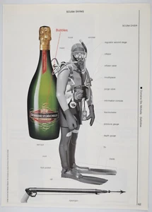 Domaine Ste. Michelle Champagne Brut Buceo 1996 New Yorker Anuncio 8x11" - Imagen 1 de 1