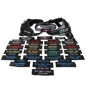 Pair of Dog Warning Service Patches for Harness Leads Hook & Loop K9 Assistance - Picture 1 of 280