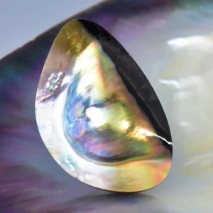 Mabe Blister Pearl in Shell Extreme Colorful Rainbow Iridescent 7.50 g Cabochon - Picture 1 of 12