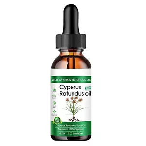 Cyperus Rotundus Oil Cyprus Oil Natural Nut Skin Oil Grass 60ml Moisturizing Oil - Picture 1 of 12