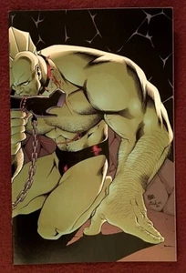Vampirella Crossover Gallery Virgin Cover Edition. The Savage Dragon Sep. 1997. - Picture 1 of 9