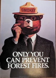 Smokey The Bear Only You Can Prevent Forest Fires - Department of Agriculture - Picture 1 of 5