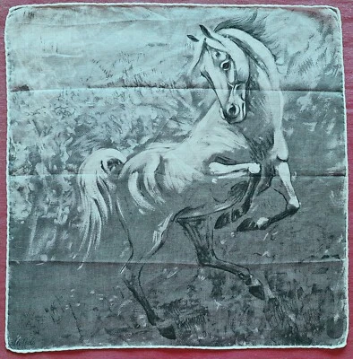 HANDKERCHIEF 复古瑞士 FISBA STOFFELS EQUESTRIAN 艺术马棉 11 — 第 1/4 张图片