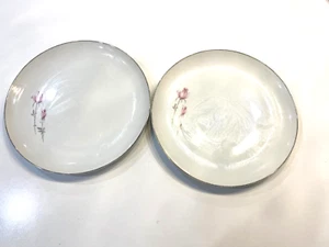 Rose China Duet #3306 Japan Dinner Plates Set of 2 Replacements - Picture 1 of 7