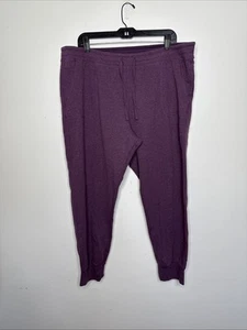 Patagonia Pants Womens Size XL Ahnya Joggers Purple Drawstring Pockets Lounge - Picture 1 of 7