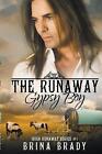 The Runaway Gypsy Boy by Brina Brady Paperback Book