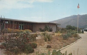 Visitor Center, Saguaro National Monument - Tucson, Arizona - unposted RPPC - Picture 1 of 3