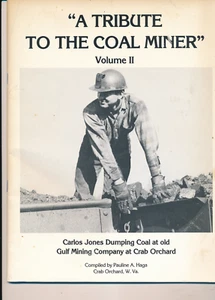 Tribute To The Coal Miner Raleigh County WV Tams Eccles Slab Fork West VA - Imagen 1 de 4