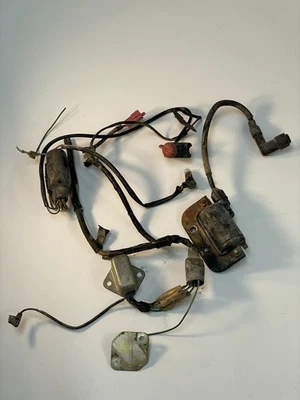 Honda XR185 XR 185 1979 OEM electrónica bobina CDI arnés de cableado HM446 Foto 1 de 4