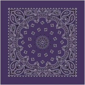 Carolina Creative BANDANA PAISLEY PLUM - Picture 1 of 1