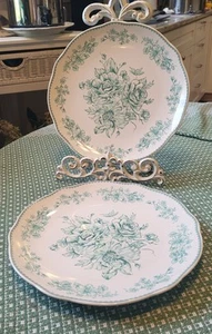 Set of 2 Pioneer Woman AGATHA Green 10.5" Stoneware Dinner Plates Country Garden - Picture 1 of 6