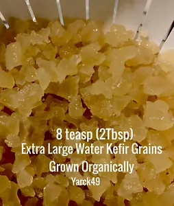 Kefir Grains PREMIUM LARGE ORGANIC 8 Teaspoons. Free Post - Picture 1 of 5