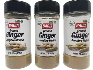 3 PACK Badia Ground Ginger Powder Spice Jengibre Molido Cut Grease 2 oz 05/2028 - Picture 1 of 4
