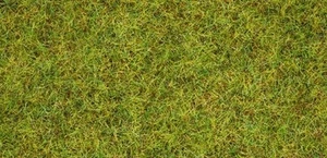Noch 08310 - Herbe vert clair, 2.5 mm, 20g - Imagen 1 de 1