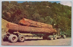 AK Log Truck California unbespielt (862) - Bild 1 von 2