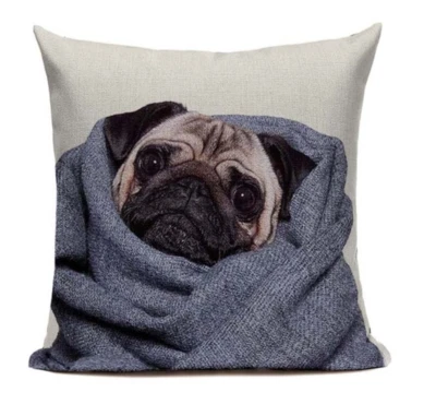 Pug Blanket DOG16 Cushion Pillow Cover Towel French Bulldog Boston Terrier Cute - Image 1 of 4