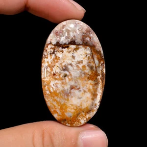 Dendrita Natural Tigre Forma Ovalada Cabujón Piedra Preciosa Suelta 62 Ct 43X26X7mm GC7950 - Imagen 1 de 1