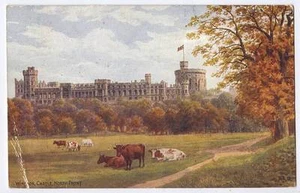 (w15g96-355) A.R.QUINTON (ARQ) Frente Norte, Castillo de Windsor c1920 sin usar G, *1182 - Imagen 1 de 1