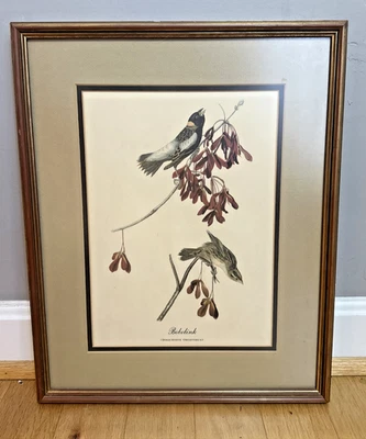 Vintage Framed John Audubon Bobolink Print Nice Wood Gold Gilt Frame 13x16 - Image 1 of 4
